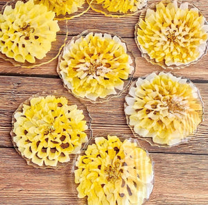 3D Yellow Dahlia Coasters - Set of 4